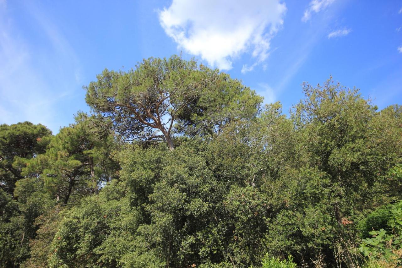 By The Sea Artatore, Losinj - 8022 Apartament