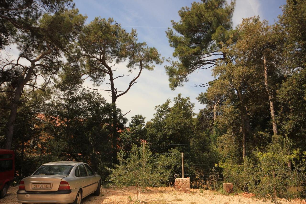 By The Sea Artatore, Losinj - 8022 Apartment Cunski