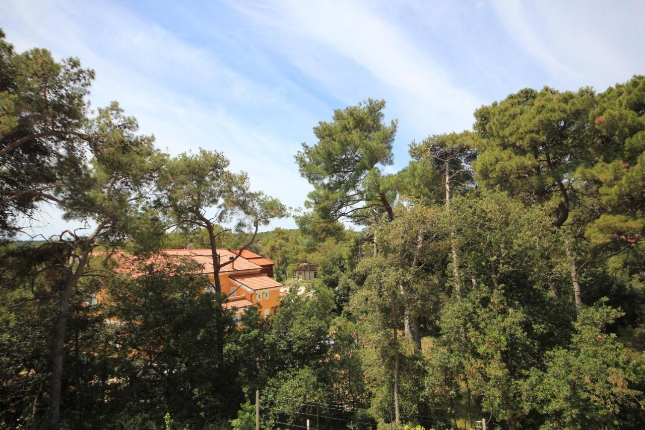 Apartment By The Sea Artatore, Losinj - 8022 Cunski